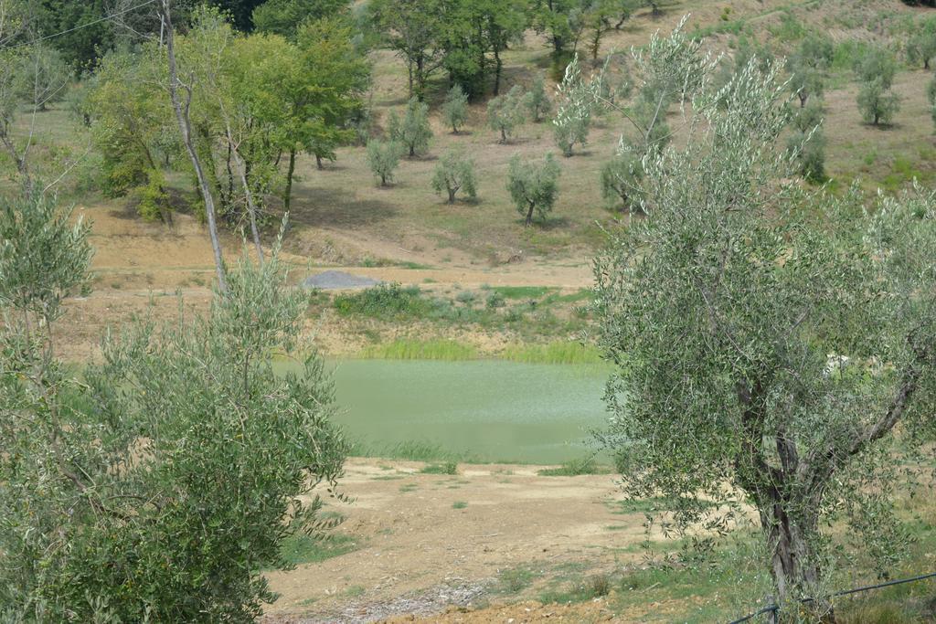 Podere Delle Fanciulle ピストイア エクステリア 写真