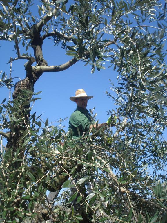 Podere Delle Fanciulle ピストイア エクステリア 写真