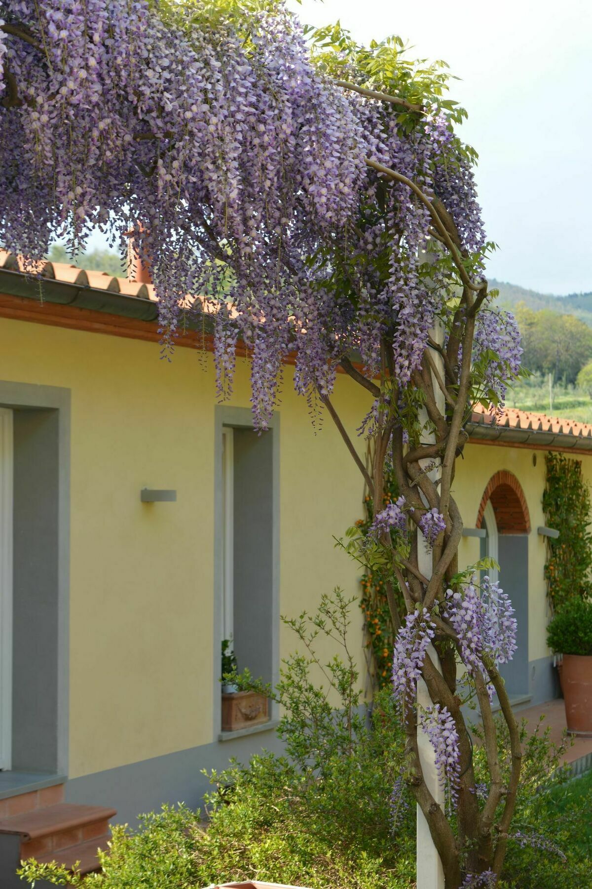 Podere Delle Fanciulle ピストイア エクステリア 写真